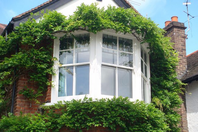Hampton Sash Window